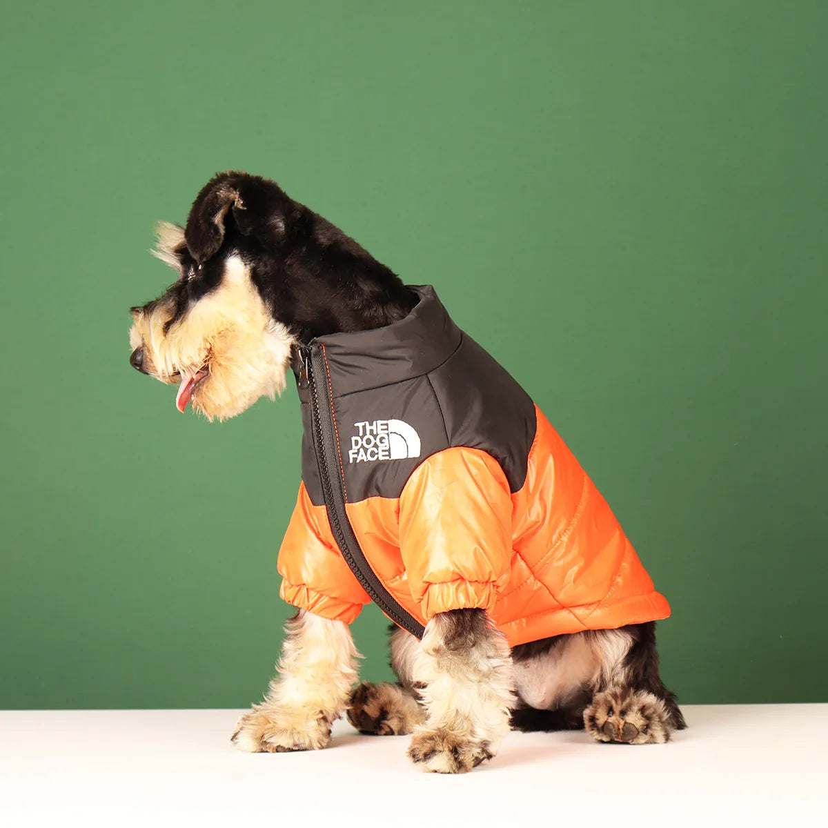 Vestiti invernali per cani di piccola taglia e media