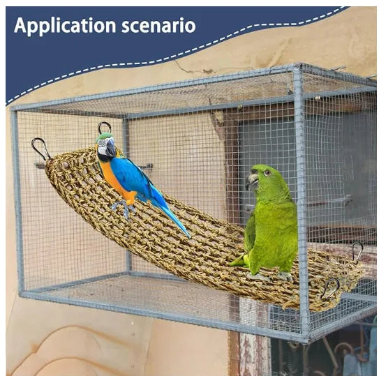 1PC Drago Barbuo Amaca Rettile Lettino per Camaleonte Lucertole Gecko Serpenti Lguana Rettili Geckos Erba Cuscino Pet Letto Altalena