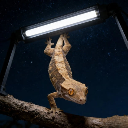Kit Professionale con Lampada UVB per Rettili e Supporto