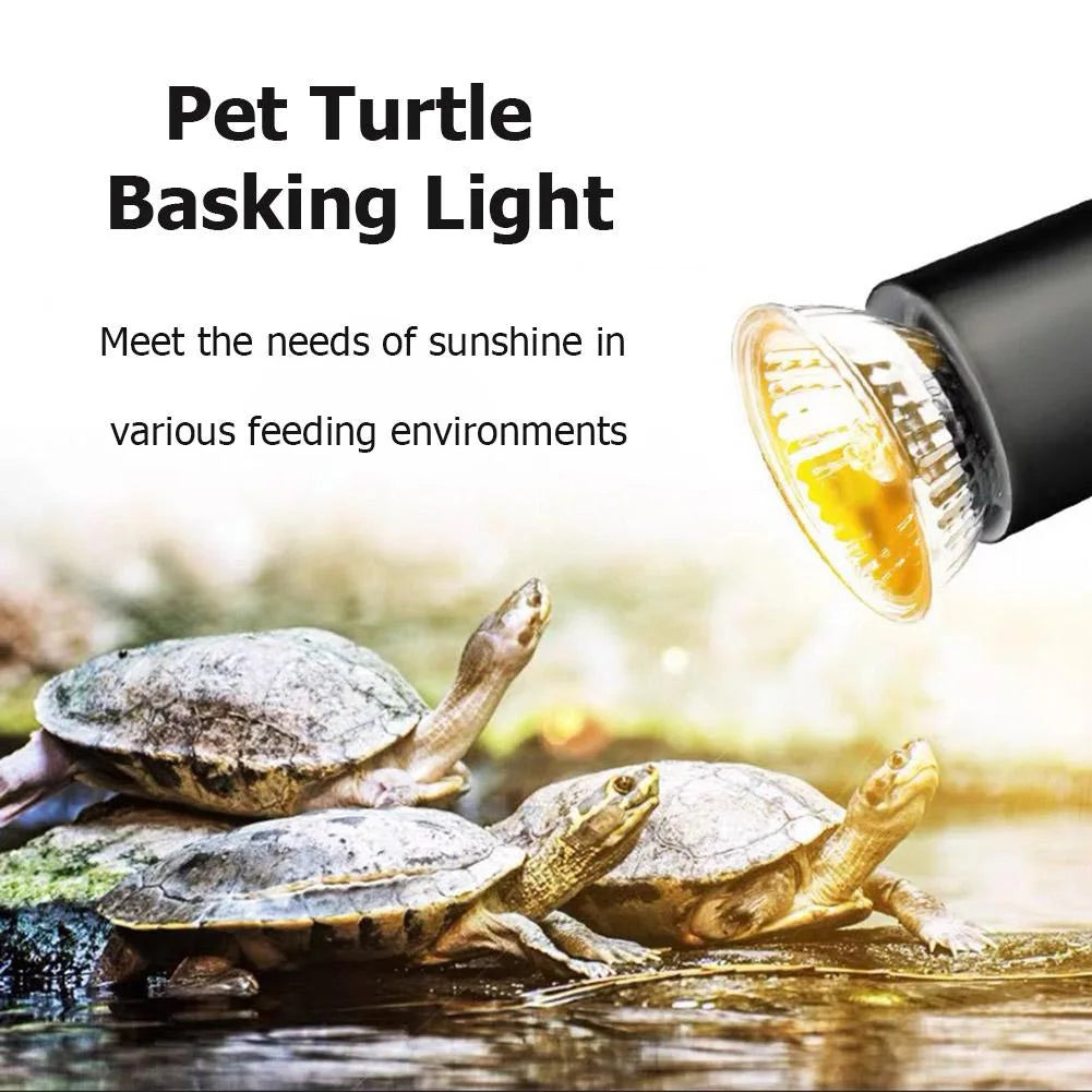 5/10/15/20 Stk. 25W Reptilien-Heizlampe Vollspektrum UV-Lampe für Schildkröten Schlangen Eidechsen Amphibien Temperaturregelung