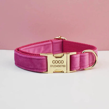 Halsband- und Leinen-Set für Hunde