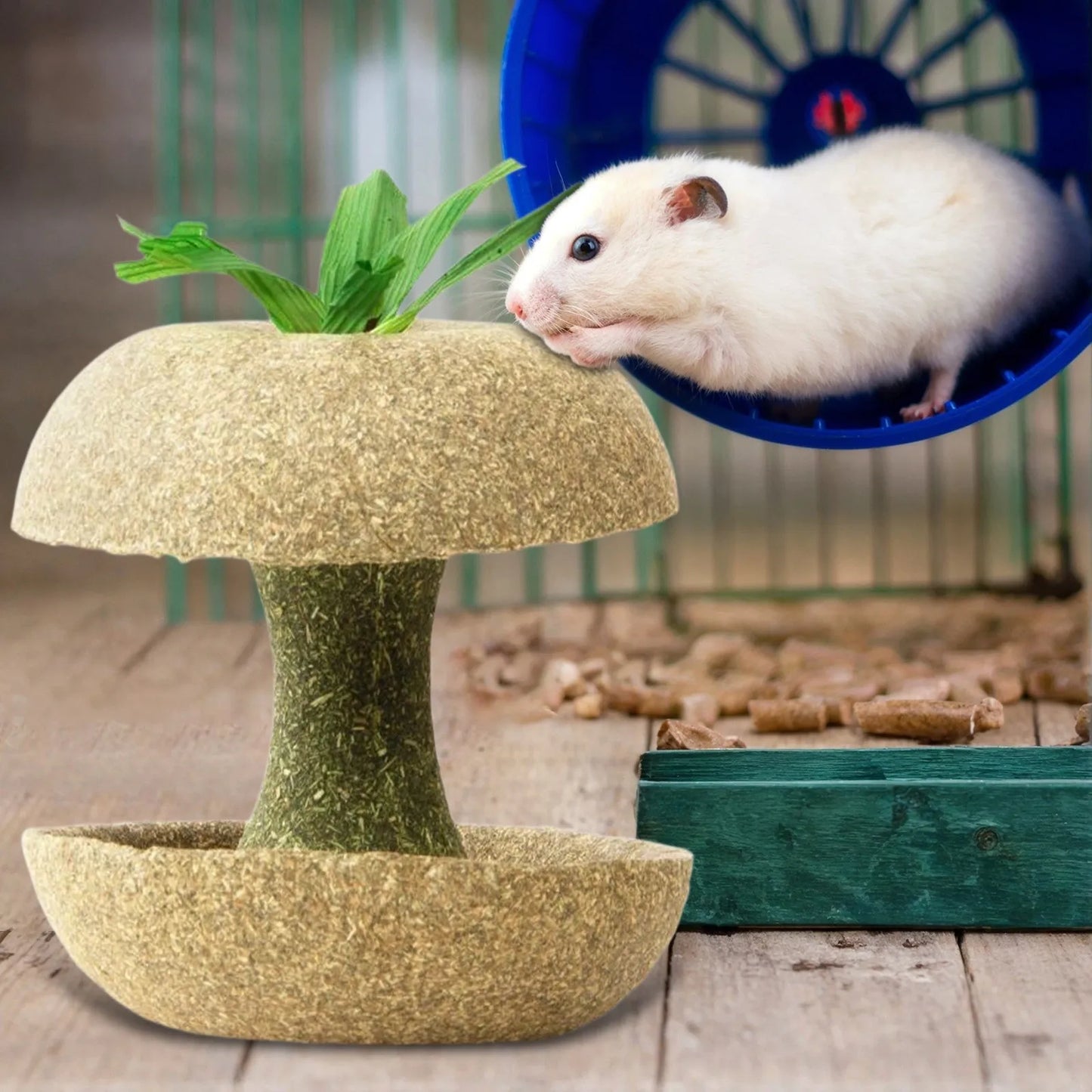 Biscotto per criceti