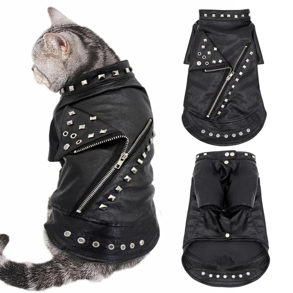 Lederjacke für Katzen und kleine Hunde