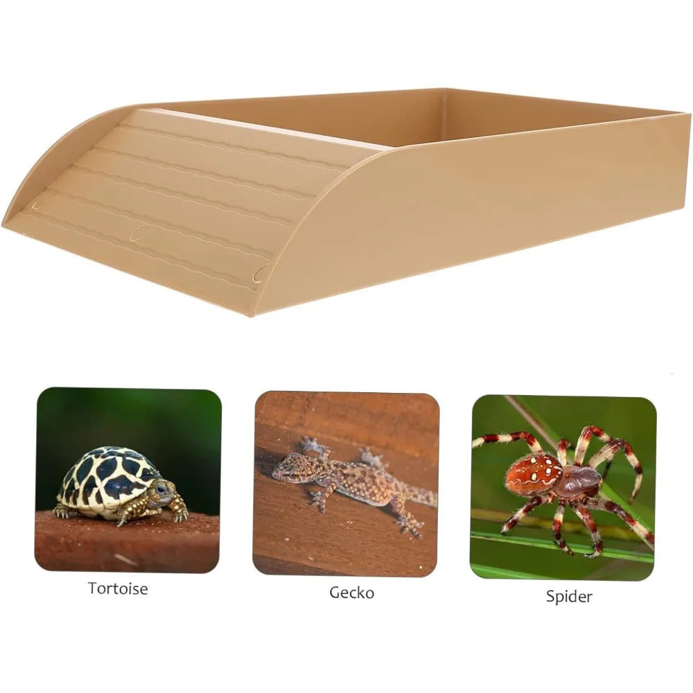 Pond con feeder per tartarughe d'acqua