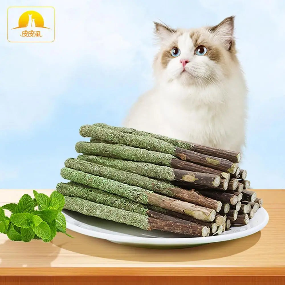 Naturale Matatabi Cat Stick Menta Catturato Morso Emozionato Aste Silvervine Per La Pulizia Dei Denti di Gatto Trattare Fornitura Per Animali Domestici Giocattoli Per Gatti