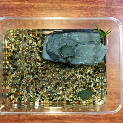 Kreatives Reptilien Terrarium Schildkröten Zubehör Tauchplattform Ruhehöhle Harz Kletterspielzeug Aquarium Dekoration Dekoration kriechende Tiere
