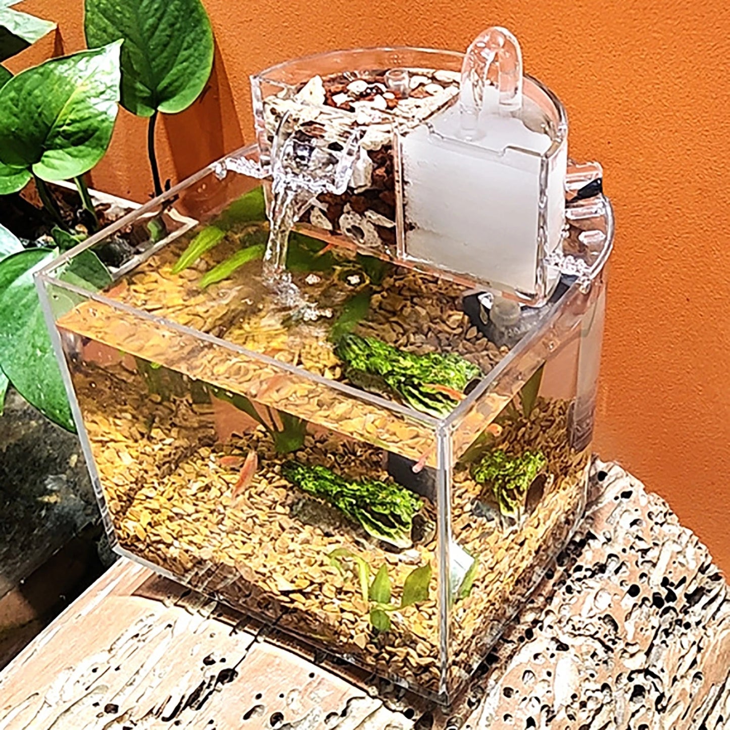 Mini-Tisch-Aquarienset mit Filterdeckel, Wasserpumpe 2,5 W, Tauchpumpe, umweltfreundliches transparentes Aquarium, Heimdekoration