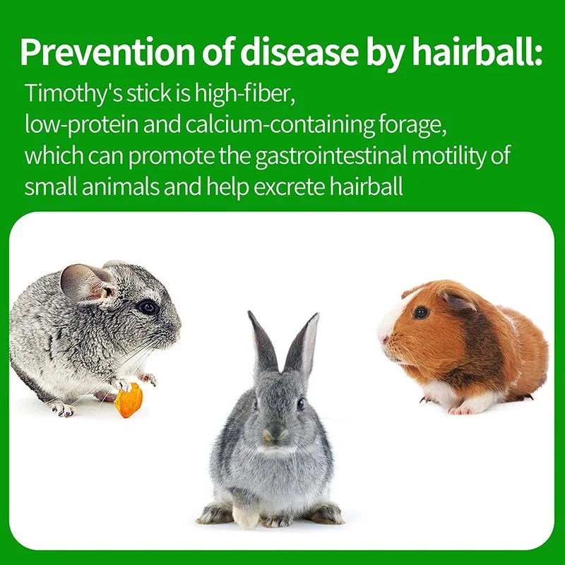 Bastoncini da masticare per piccoli animali