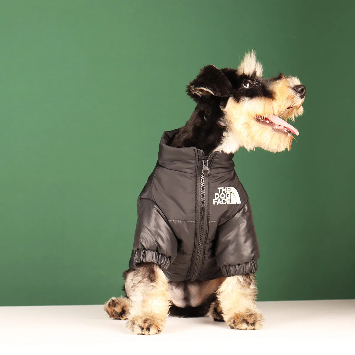 Vestiti invernali per cani di piccola taglia e media
