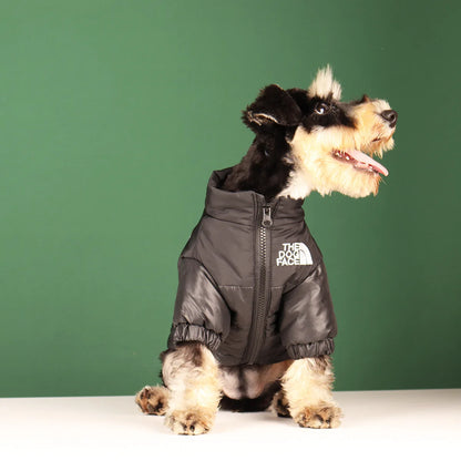 Vestiti invernali per cani di piccola taglia e media