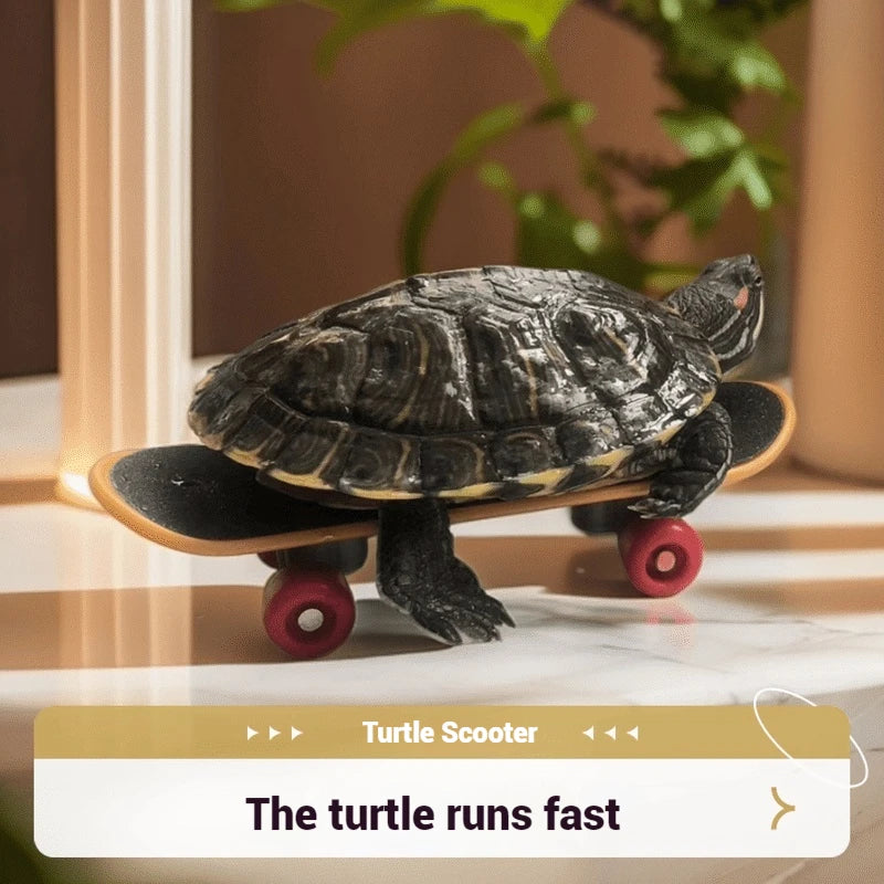 Schildkrötenspielzeug - Skateboard