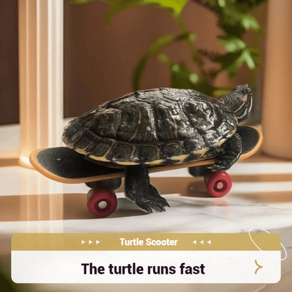 Schildkrötenspielzeug - Skateboard