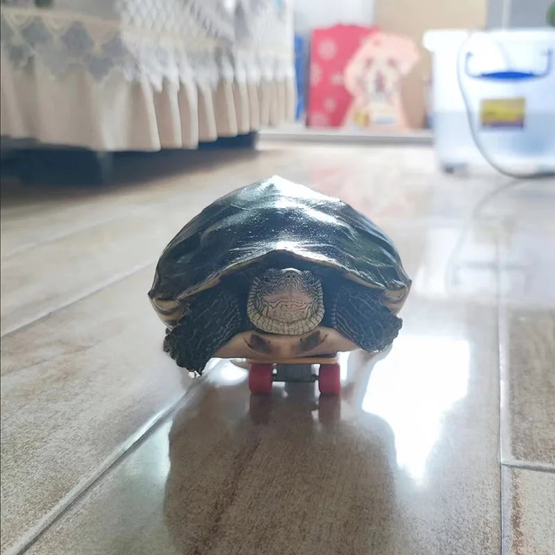 Schildkrötenspielzeug - Skateboard