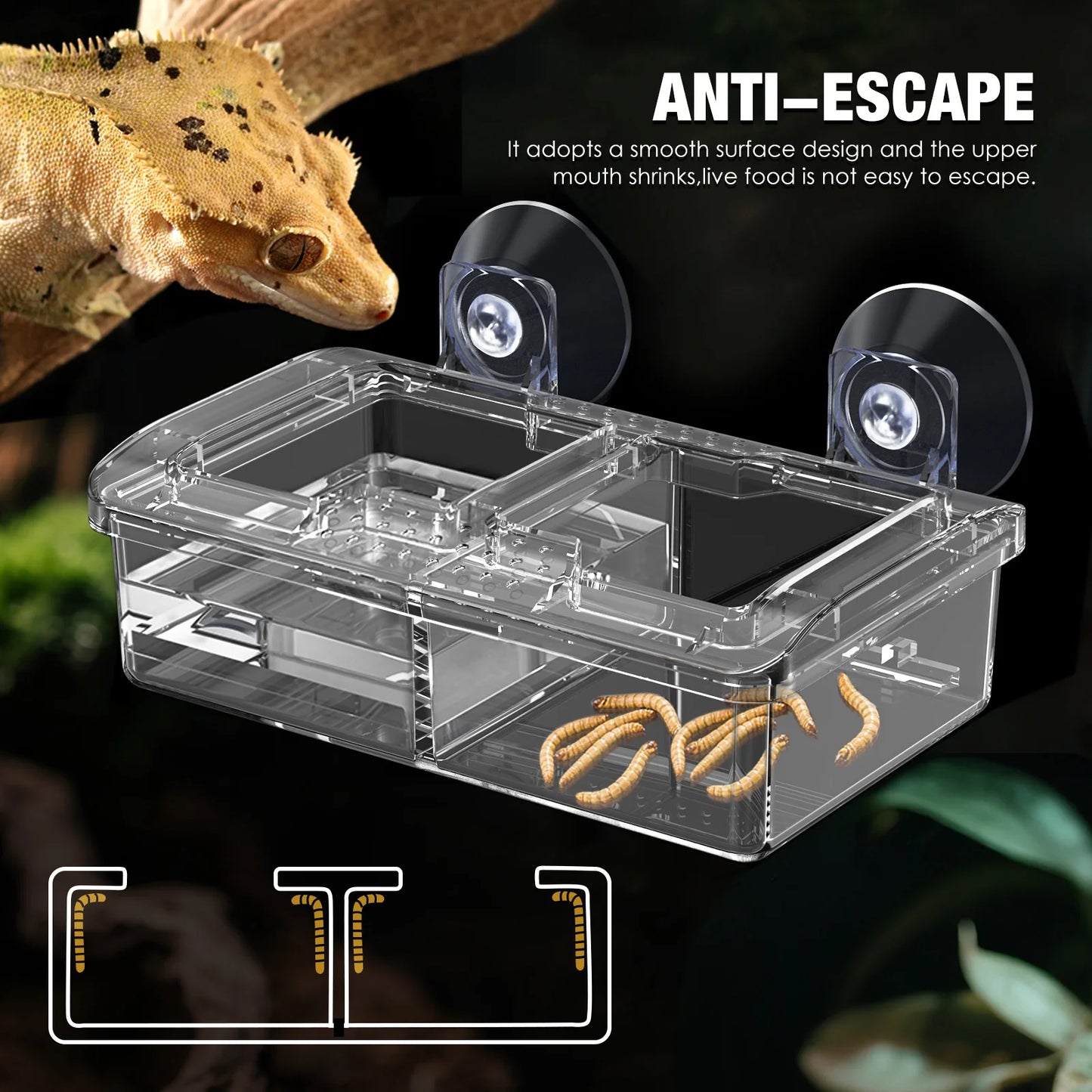 Reptilien-Wasserfutternapf Wurmfutternapf Keramik-Haustiernapf Ausbruchsichere Mini-Reptilien-Wurmschale für Bartagamen Eidechsen