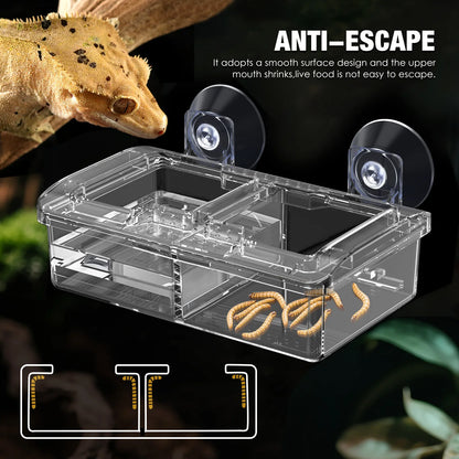 Reptilien-Wasserfutternapf Wurmfutternapf Keramik-Haustiernapf Ausbruchsichere Mini-Reptilien-Wurmschale für Bartagamen Eidechsen