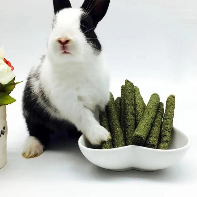 Bastoncini da masticare per piccoli animali