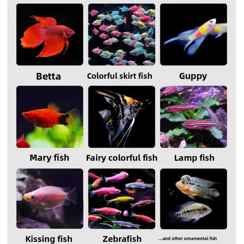 Cibo istantaneo per pesci tropicali sensibili