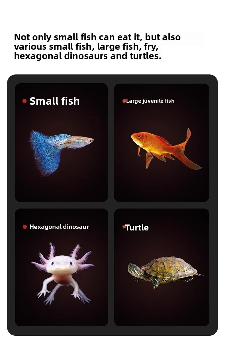 Cibo secco pesci e tartarughe - Krill & Gamberetti