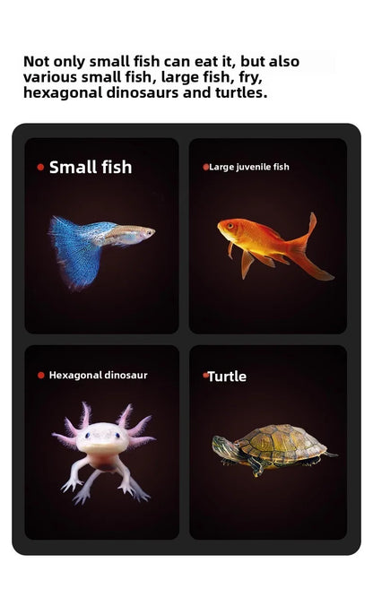 Cibo secco pesci e tartarughe - Krill & Gamberetti