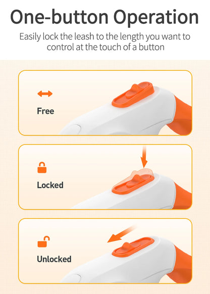 ROJECO 5M Guinzaglio automatico per cani Retrattile LED Luminoso Leading Cinghie luminose di moda per cuccioli di cane Pet Flexi Walking Running Piombo