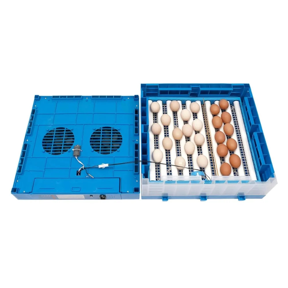 Incubatrice per uova 220V Macchina da cova automatica Temperatura e umidità regolabili Rotazione automatica di 360 gradi