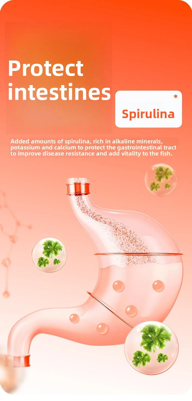 Cibo per Guppy & Nano Fish