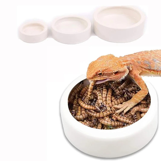 Rettile Acqua Ciotola Per Alimenti Anti-Fuga Piatto Alimentatore In Ceramica per Lucertola Eremita Gecko Camaleonte Mais Serpente Drago Barbuo Accessori
