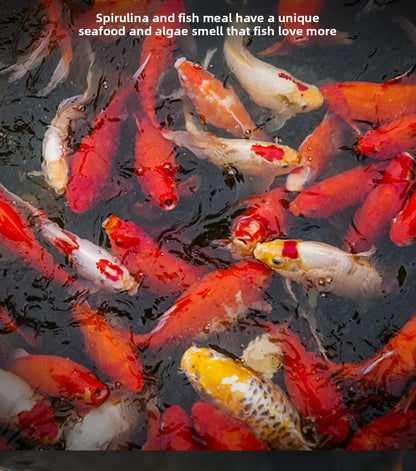 Cibo per carpe Koi, pesci rossi e pesci ornamentali