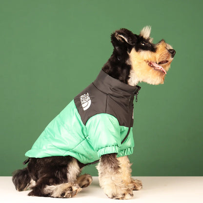 Vestiti invernali per cani di piccola taglia e media