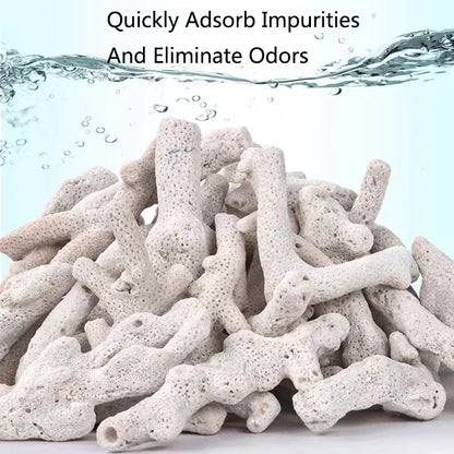 Filtro per acquario con osso di corallo di barriera corallina naturale di alta qualità materiale biologico medio sabbie di corallo per la filtrazione del serbatoio di pesce fisso PH