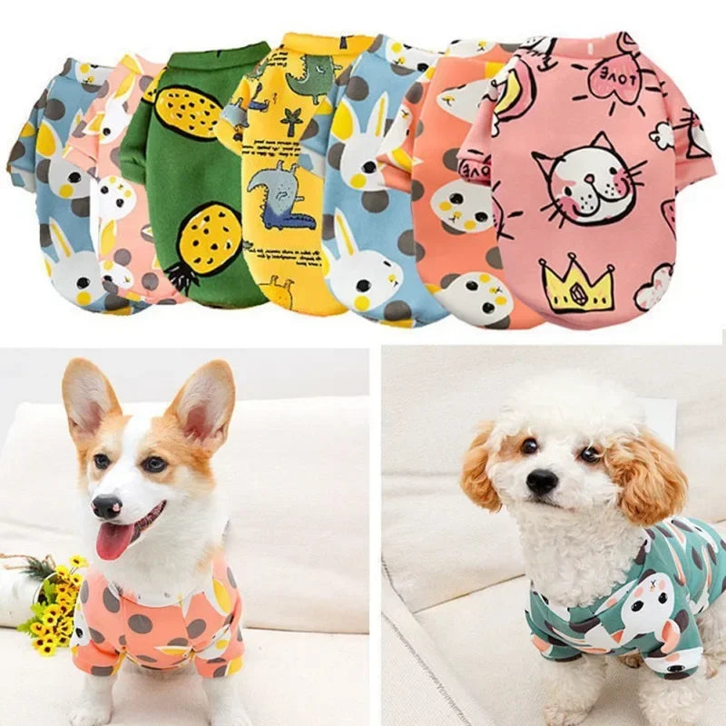 Dolcissimi pigiamini per cani