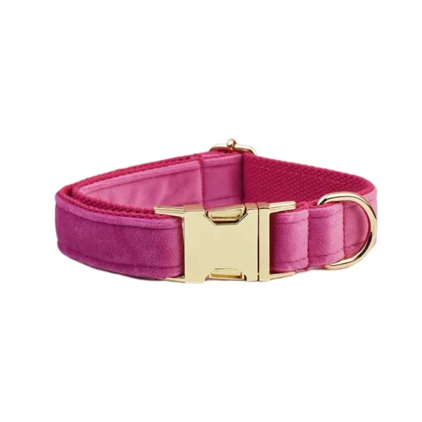 Halsband- und Leinen-Set für Hunde
