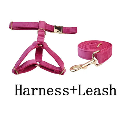 Halsband- und Leinen-Set für Hunde