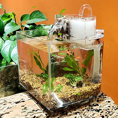 Mini-Tisch-Aquarienset mit Filterdeckel, Wasserpumpe 2,5 W, Tauchpumpe, umweltfreundliches transparentes Aquarium, Heimdekoration