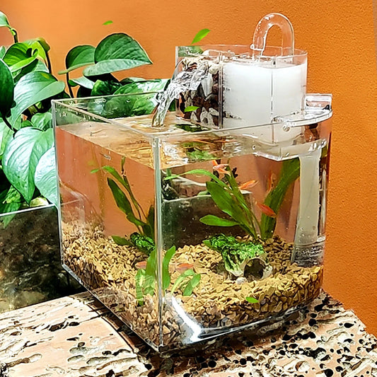 Mini set per acquario da tavolo con coperchio filtro acqua 2,5 W pompa sommergibile acquario ecologico acquario trasparente decorazioni per la casa