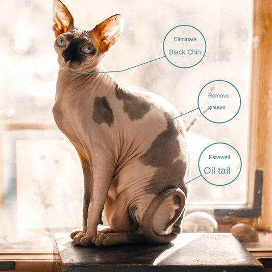 Shampoo specifico per gatti Sphinx