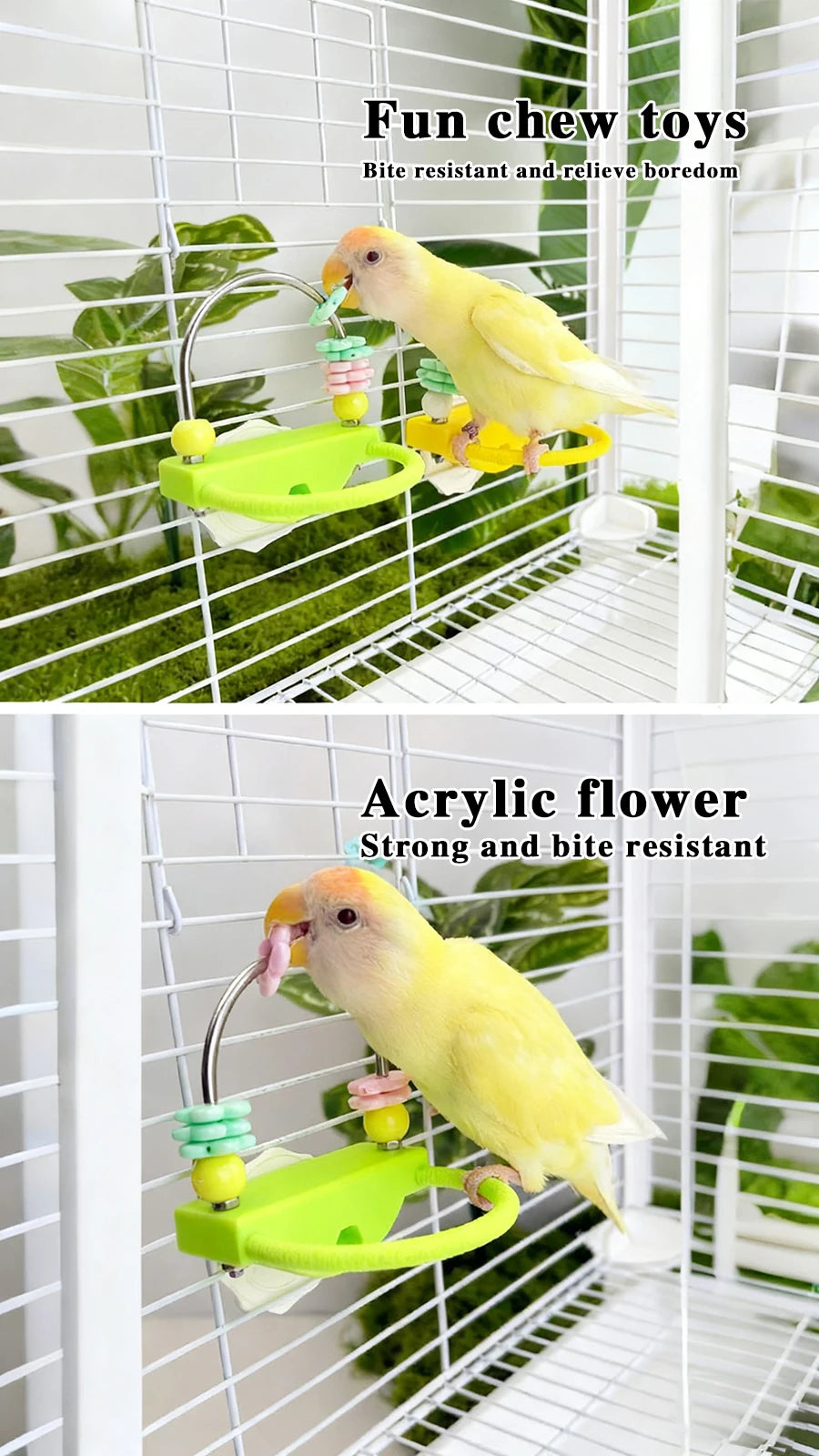 Pappagallo interattivo Allevia la noia Giocattolo Gabbia per uccelli Giocattolo per pappagalli Prendi dolcetti Dispenser per l'intrattenimento di stimolazione mentale