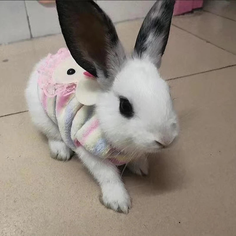 Maglioncino a tema, invernale gatti/cuccioli