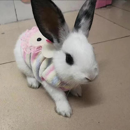 Maglioncino a tema, invernale gatti/cuccioli