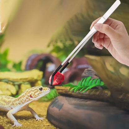 2 Stück gebogene Spitzpinzette für Bastelarbeiten, gerade und gebogene Edelstahlpinzette, Futterpinzette für Reptilien, Eidechsen, Spinnen