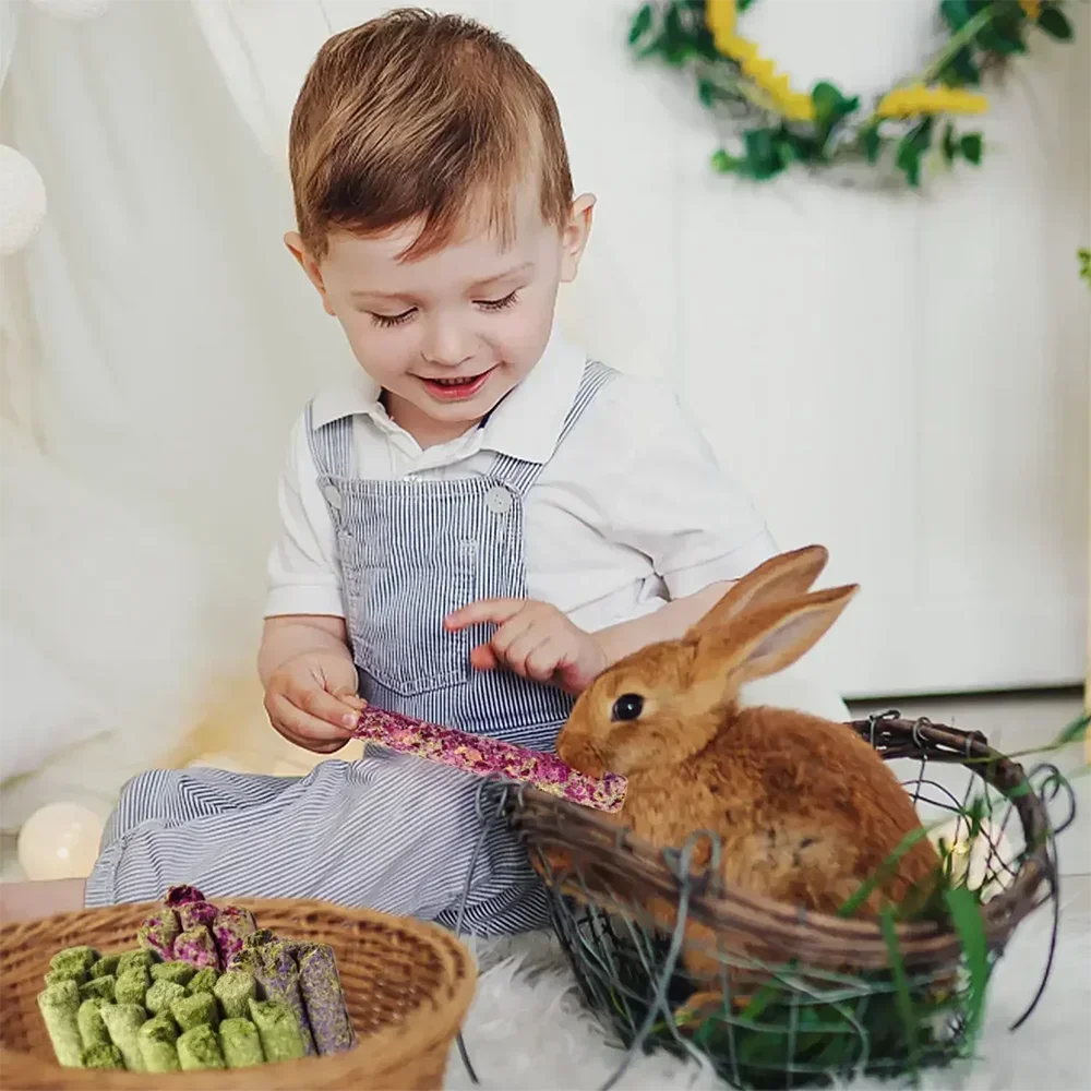 6 pezzi bastone da masticare per roditori