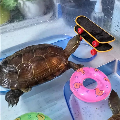 Schildkrötenspielzeug - Skateboard