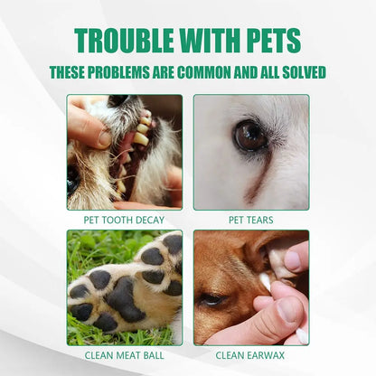 20 Pz per igiene dentale animali