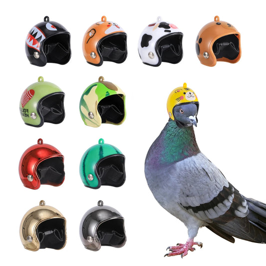 Casco per pappagallo Cappello per piccione Attrezzatura protettiva per animali domestici Protezione solare Casco antipioggia Giocattolo per uccelli Piccoli animali domestici Accessori di abbigliamento Pajaros