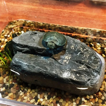 Kreatives Reptilien Terrarium Schildkröten Zubehör Tauchplattform Ruhehöhle Harz Kletterspielzeug Aquarium Dekoration Dekoration kriechende Tiere