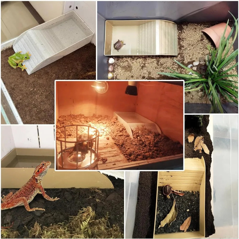 Pond con feeder per tartarughe d'acqua