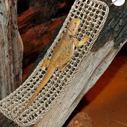 1PC Drago Barbuo Amaca Rettile Lettino per Camaleonte Lucertole Gecko Serpenti Lguana Rettili Geckos Erba Cuscino Pet Letto Altalena
