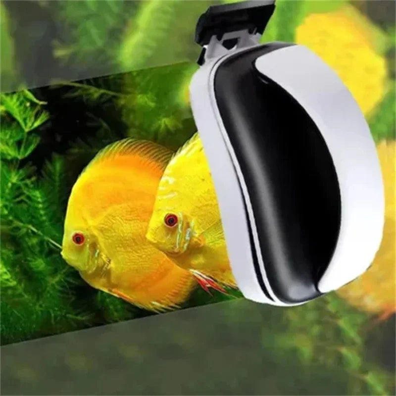 Detergente + raschietto per pulizia vetri acquario