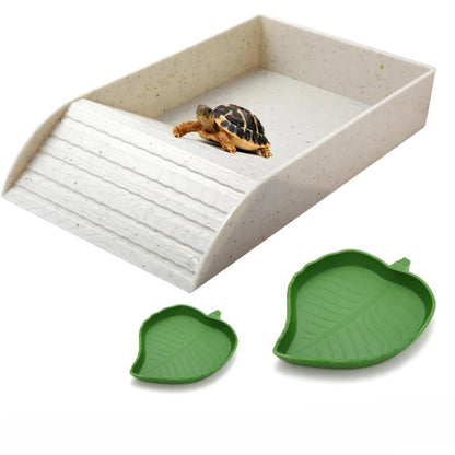 Pond con feeder per tartarughe d'acqua