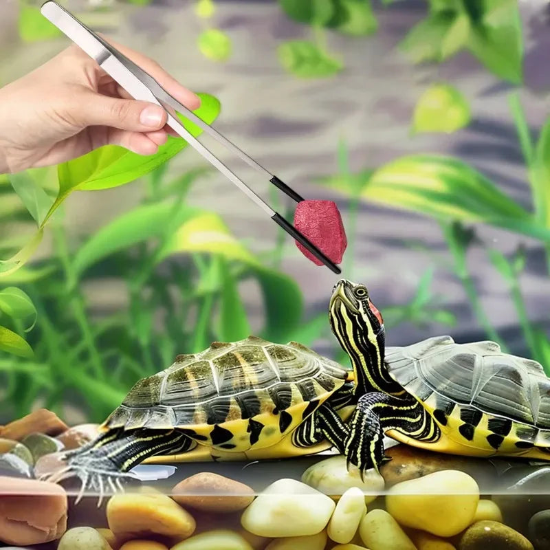 2 Stück gebogene Spitzpinzette für Bastelarbeiten, gerade und gebogene Edelstahlpinzette, Futterpinzette für Reptilien, Eidechsen, Spinnen